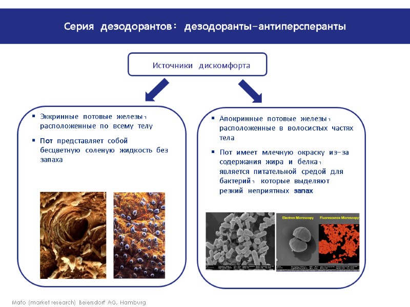 Mafo (market research) Beiersdorf AG, Hamburg Источники дискомфорта Эккринные потовые железы, расположенные по всему